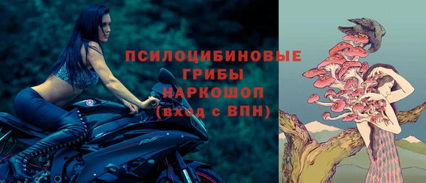 дмт Армянск