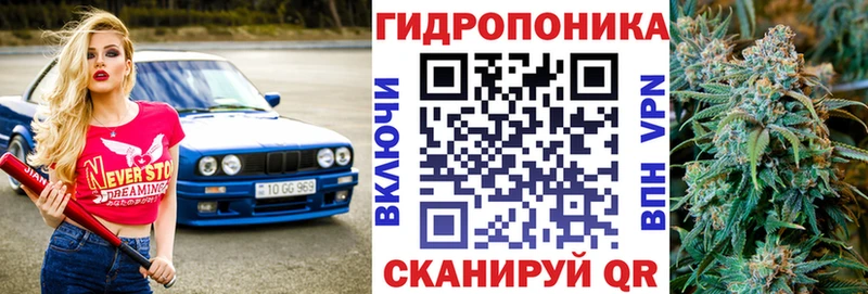 Шишки марихуана Bruce Banner  Купить где  Алексин 